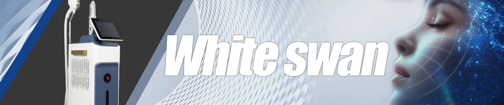 White Swan 810